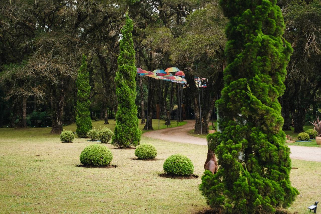 Pousada Roehsler Monte Verde  Exterior photo